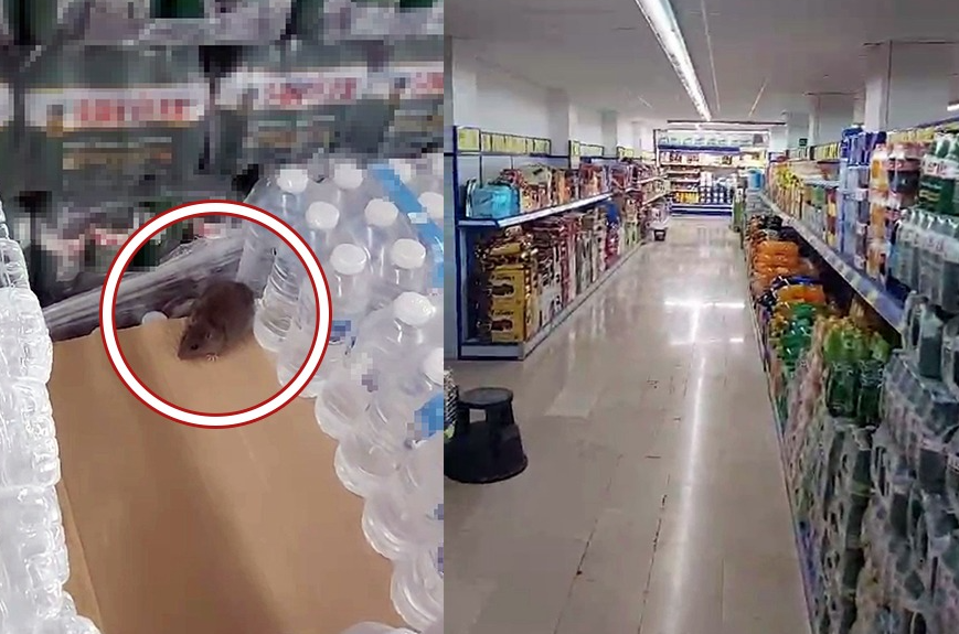 Sakarya’nın Adapazarı ilçesinde market alışverişi yapmak için BİM’e giren bir
