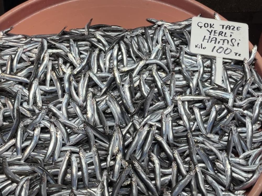 Balıkesir Büyükşehir Belediyesi Bandırma Su Ürünleri Hali’nde geçtiğimiz hafta 70