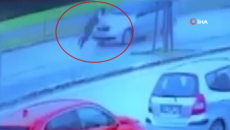 Otomobilin önüne kendini böyle attı