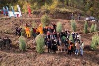 Tarım ve Orman Bakanlığınca Türkiye genelinde 81 ilde gerçekleştirilen Milli