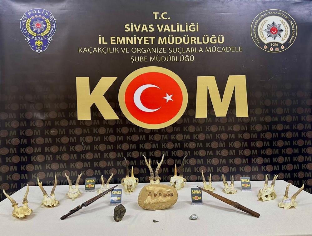 Evden tarih çıktı Sivas’ta polis ekiplerince bir eve düzenlenen operasyonda fosiller ile tarihi