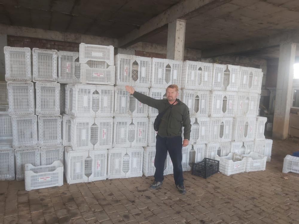 Marmarabirlik açıkladığı 125 liralık zeytin kilogram fiyatıyla üreticisinin yüzünü güldürüp