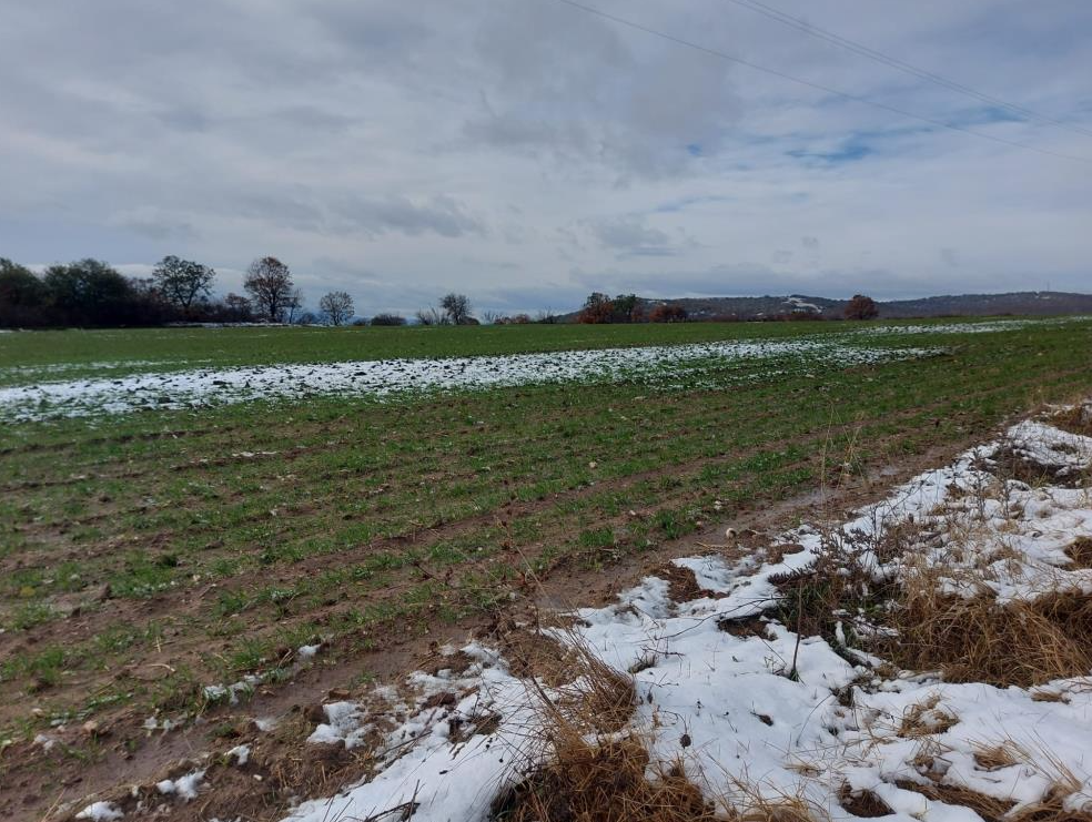 Son yılların en kurak döneminin yaşandığı Edirne’de yağmurların ardından gelen