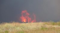 Çanakkale’de 16 Temmuz, 22 Ağustos ve son olarak da 4