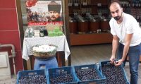 SAHTE ZEYTİNYAĞLARA DİKKAT! Marmara Birlik ve TARİŞ tarafından zeytin alım