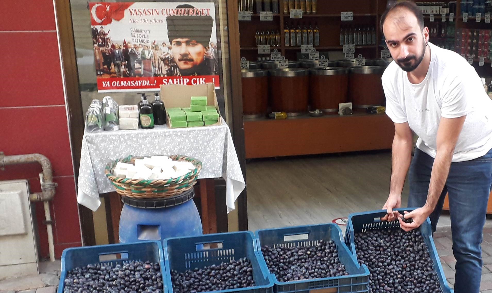 SAHTE ZEYTİNYAĞLARA DİKKAT! Marmara Birlik ve TARİŞ tarafından zeytin alım