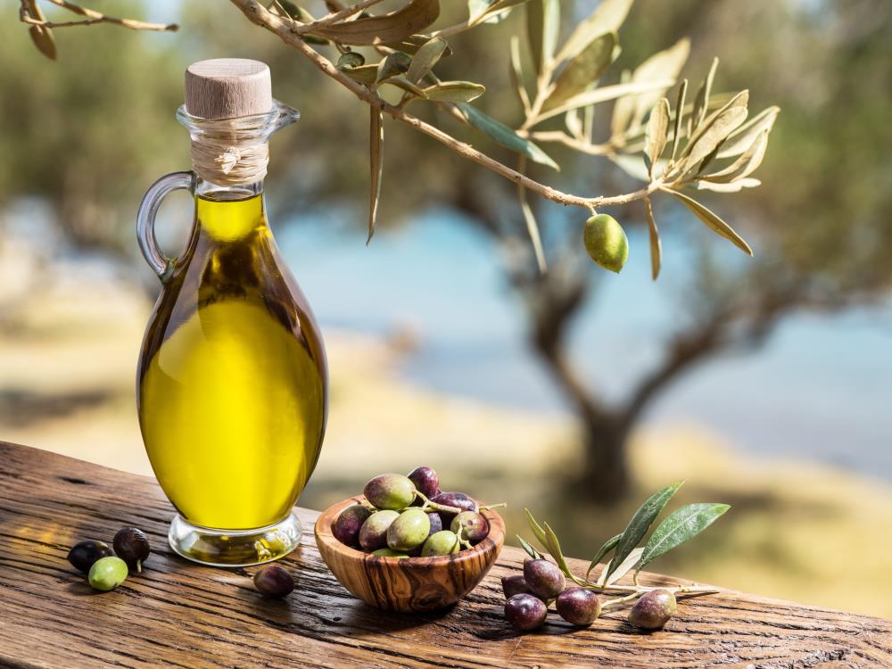 Zeytinyağı, İngiltere pazarında güçlenecek Aydın’ın önemli tarım ürünlerinden olan sarı altın zeytinyağı ve zeytin,