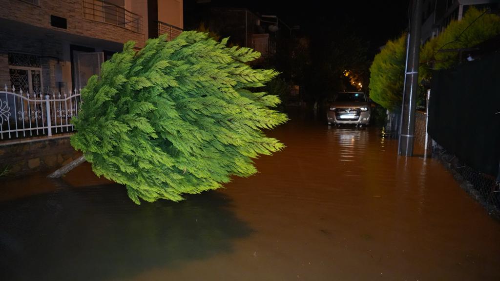 Balıkesir’in Edremit Körfezi’nde yaklaşık