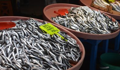 Bandırma’daki fırtına balık fiyatlarını katladı