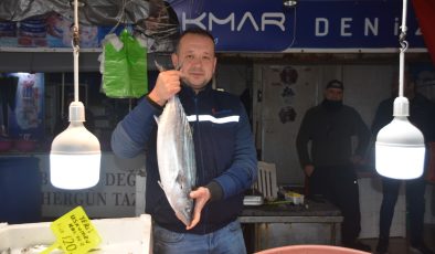 Bandırma’da torik sezonu açıldı