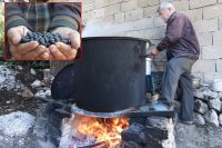 Doğada kendiliğinden yetişen defne ağaçları, gelir kaynağı oluyor. Defne ağaçlarının