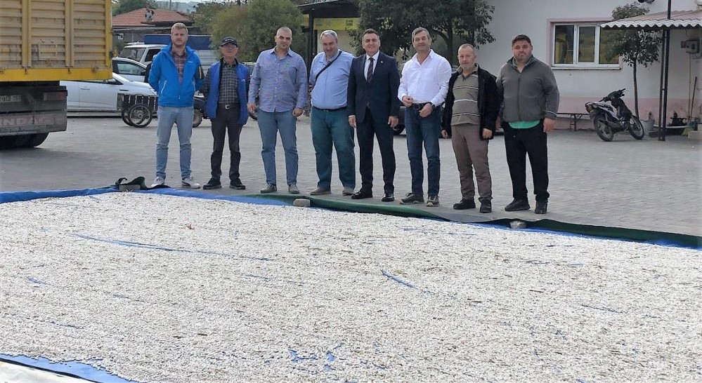 Ticaret Odasından kazak fasulyesi üreticisine ziyaret Bandırma Ticaret Odası (BTO) Türkiye’de ve dünyada önemli bir gıda