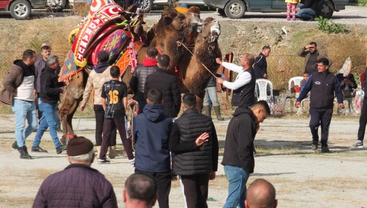 Burhaniye’de develer için havut hayrı yapıldı