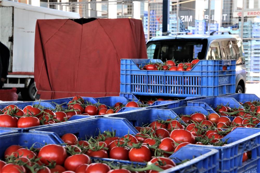 Antalya hallerinde işlem gören domates miktarı bir önceki aya göre