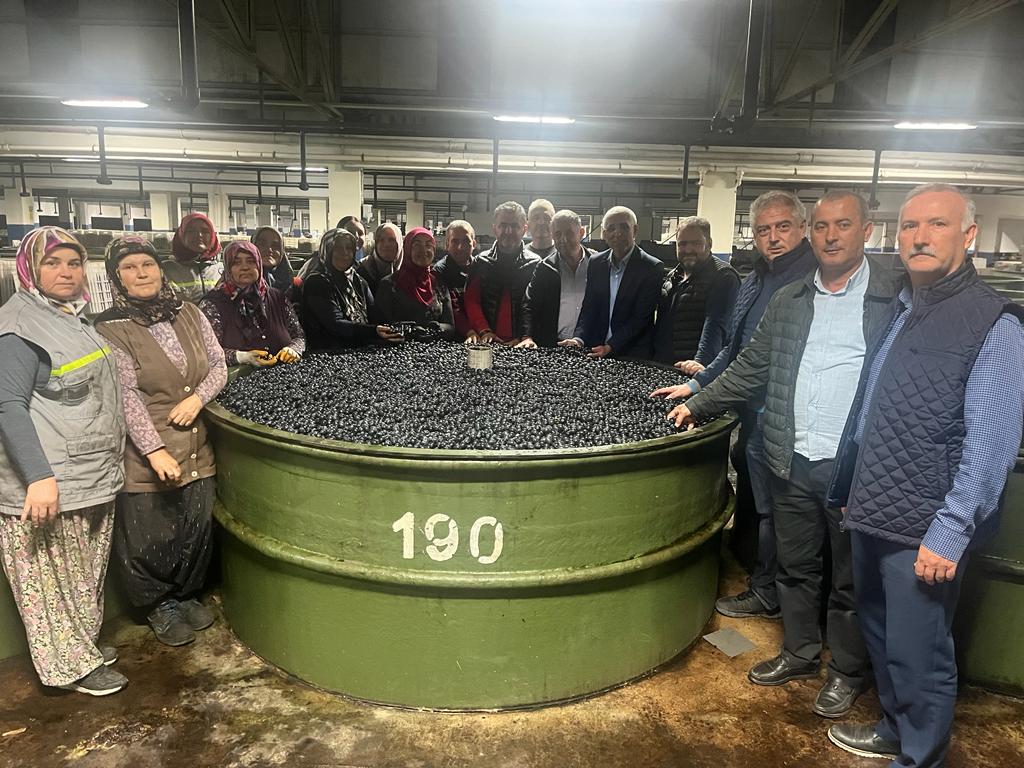 2023-2024 ürün alım kampanyası devam eden Marmarabirlik bugüne kadar 4.600