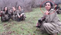PKK’nın sözde alan sorumlusu etkisiz