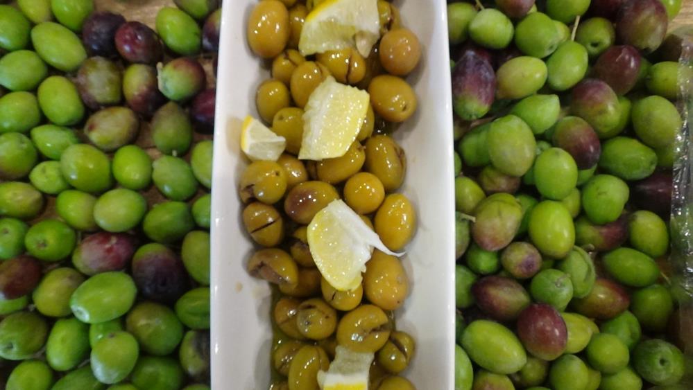 Edremit Körfezi’nde zeytin hasadı aralıksız devam ederken, Hülya Avşar’ın zeytin