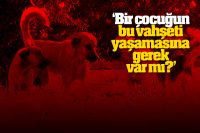 Geçtiğimiz yıl Mart ayında sahipsiz köpeklerin kovalaması sonucu kamyonun altında