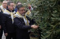 Manisa’nın Akhisar ilçesinde zeytin hasadına katılan Tarım ve Orman Bakanı
