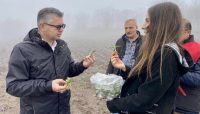 Balıkesir İl Tarım ve Orman Müdürlüğünün destekleriyle Balıkesir’de safran bitkisi