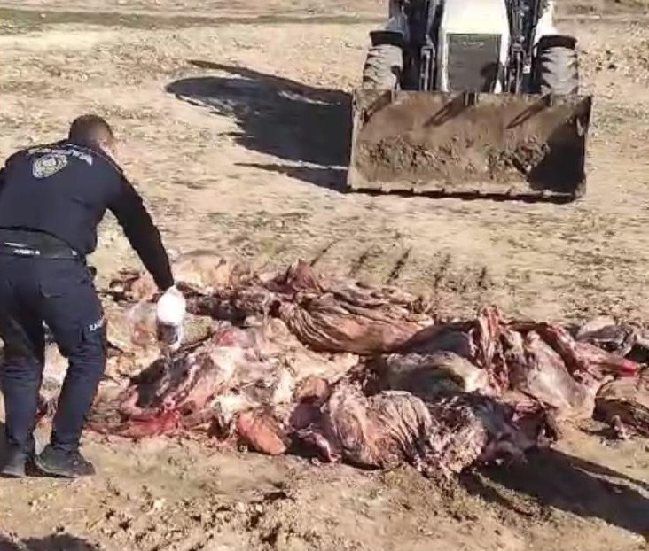 Batman’da kaçak ek kesimleri ile mücadele çerçevesinde düzenlenen operasyonlarda ele