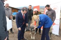 Bolu’nun merkezi dahil 8 ilçede küçükbaş hayvan yetiştiren 800 üreticinin