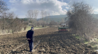 Kastamonu’da buğdayın atası olarak bilinen 12 bin yıllık siyez buğdayı,
