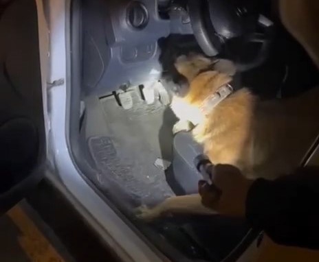 Edremit’te düzenlenen uyuşturucu operasyonunda bir otomobilin direksiyon haznesine saklanan uyuşturucu