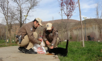 Bingöl İl Emniyet Müdürlüğüne bağlı Hayvan Durum İzleme (HAYDİ) timi,