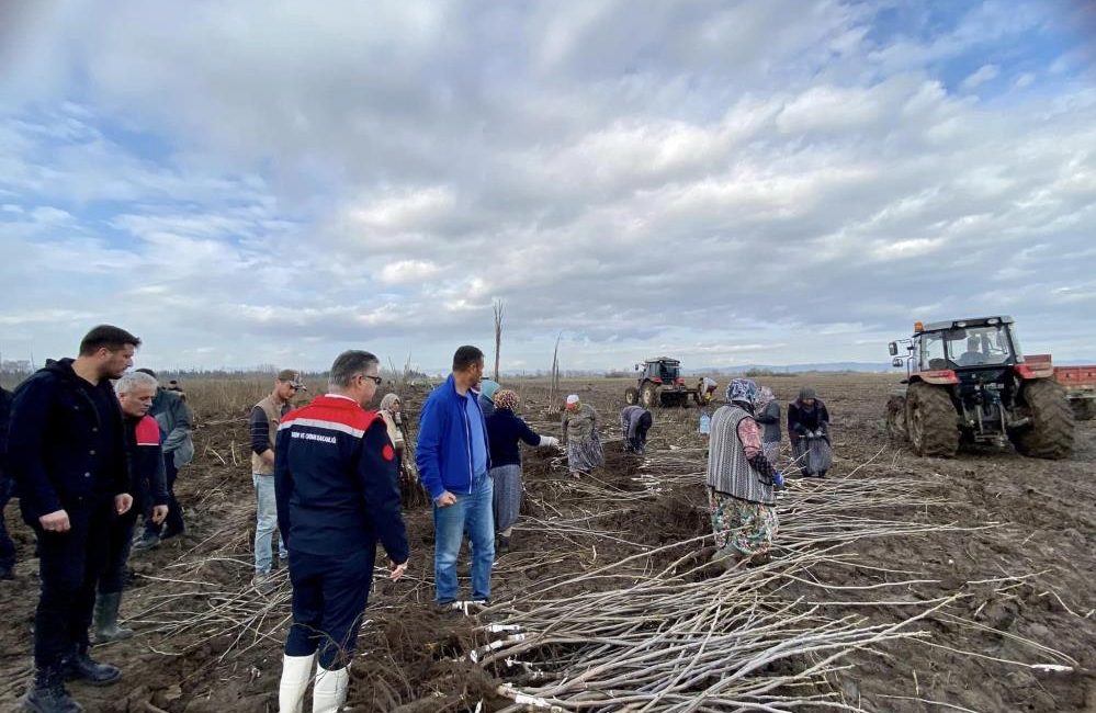 Meyve Fidanı Üretimi Ülke Ekonomisine Büyük Katkı Sağlıyor Balıkesir’de yılda yaklaşık 8 milyonu bulan badem, zeytin, ceviz gibi