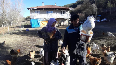 Bolu’da hobi olarak tavuk yetiştiren Muzaffer ve Fatma Tanrıkulu çifti,