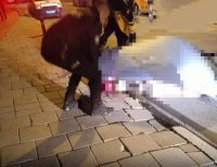 İzmir’in Karabağlar ilçesinde, kocası tarafından çok sayıda bıçak darbesiyle bıçaklanarak