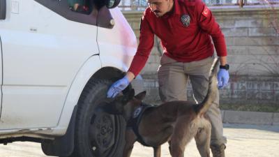 Bingöl İl Emniyet Müdürlüğü’nün bünyesindeki hassas burunlu 2 köpek, narkotik