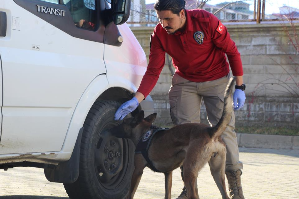 Bingöl İl Emniyet Müdürlüğü’nün bünyesindeki hassas burunlu 2 köpek, narkotik