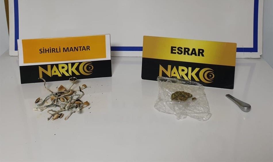 Ayvalık İlçe Emniyet Müdürlüğü Narkotik birimleri gerçekleştirdikleri operasyonda ‘sihirli mantar’