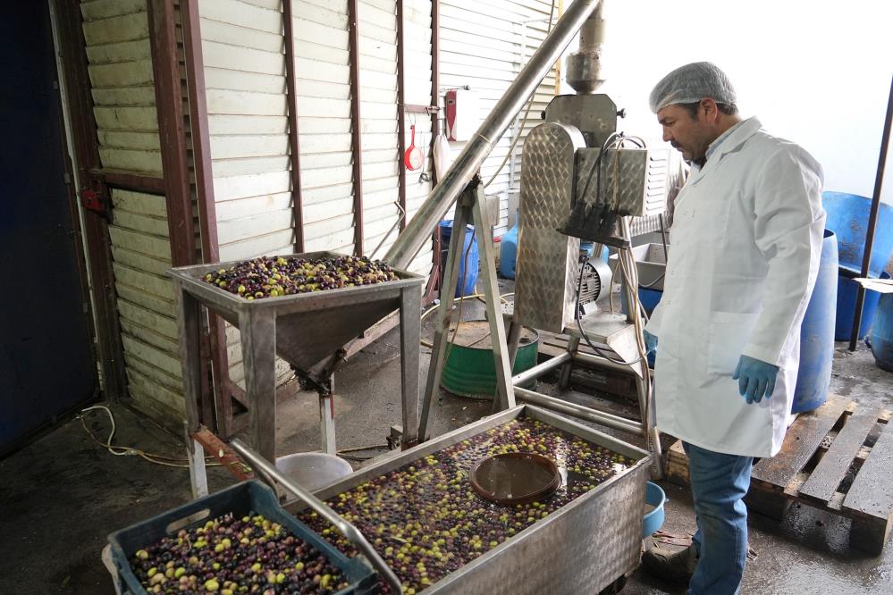 Edremit’te geliştirdiği makineler ve farklı teknik ile zeytinyağını sıfır atık