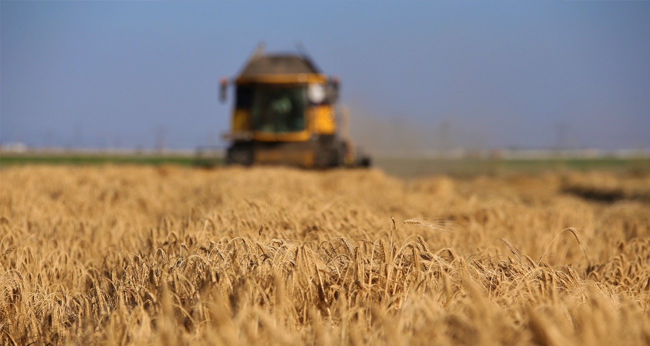 TÜİK verilerine göre tarımsal üretim 2023’te arttı