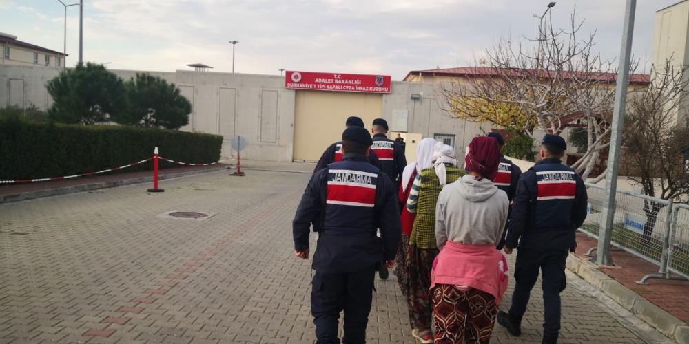 Edremit’te jandarma ekipleri zeytin hırsızlarını suçüstü yakaladı. Şüpheli 3 kişi