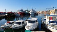 Marmara Denizi’ne ağ atan balıkçılar, yaklaşık 30 ton torik balığı