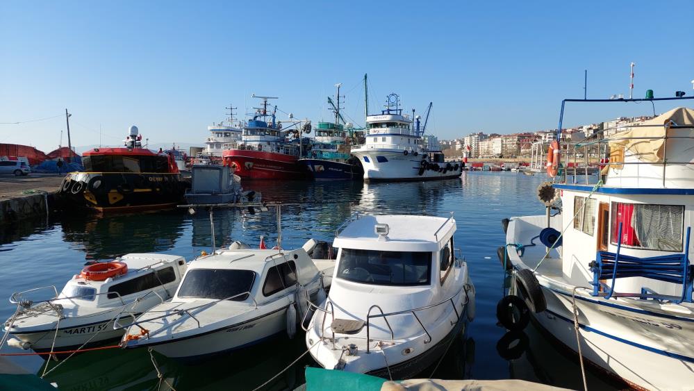 Marmara Denizi’ne ağ atan balıkçılar, yaklaşık 30 ton torik balığı avladılar Marmara Denizi’ne ağ atan balıkçılar, yaklaşık 30 ton torik balığı