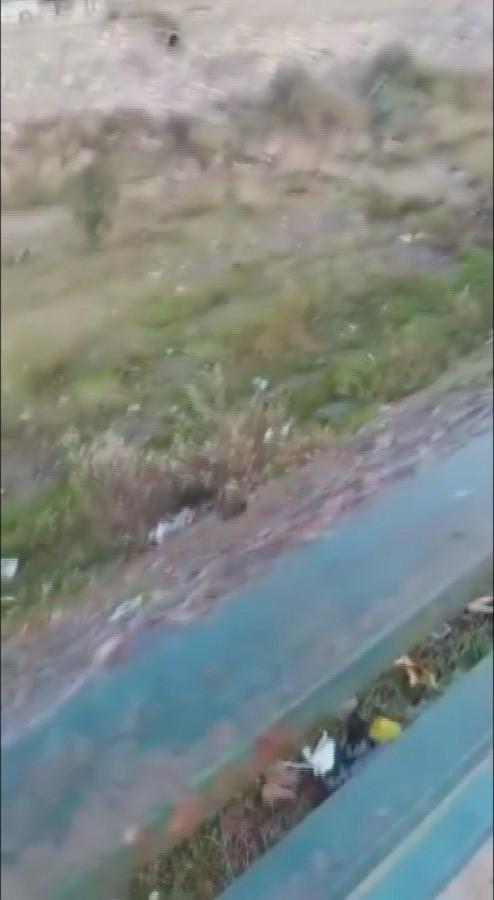 TikTok’ta paylaşmak için kediyi ırmağa atmışlardı, gözaltına alındılar Hatay’ın Erzin ilçesinde kediyi ırmağa atarak bu anları sosyal medyada