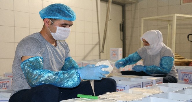 “Ezine peyniri” AB’den coğrafi işaret tescili aldı Tarım ve Orman Bakanlığı ve paydaş kurumlar tarafından yürütülen çalışmalar