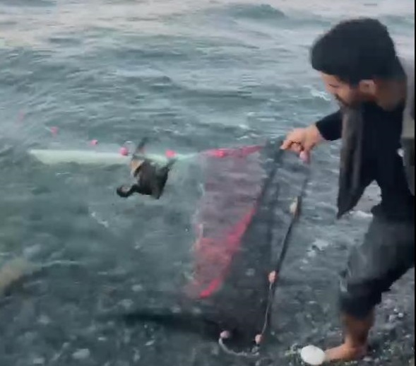 Yalova’da balıkçı ağına takılan karabatak kurtarıldı Yalova’nın Çınarcık ilçesine bağlı Esenköy beldesinde denizde balıkçı ağına takılan