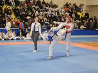 “Cumhuriyetin 100. Yılı Kutlama Programı” kapsamında, farklı spor dallarında düzenlenen