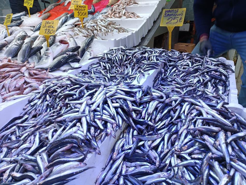 Samsun’da bu sezon kilosu ilk defa 25 TL’ye gerileyen hamsi,