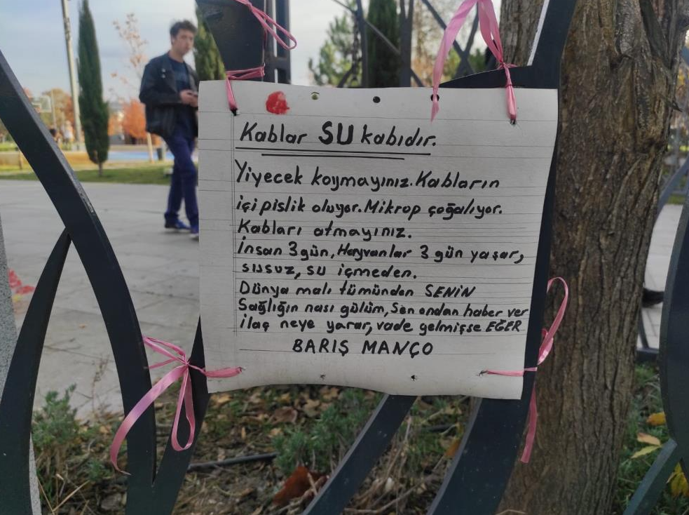 Sokak hayvanlarının su içmesi için konulan kapların içine yemek koyulmamasını