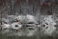 Karla buluşan doğadan kartpostallık manzaralar
