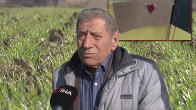 Uzun süredir tarım sektöründe faaliyet gösteren bir tohum firmasının kurucuları
