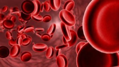 İç Hastalıkları ve Hematoloji Uzmanı Dr. Fatih Öçal, demir eksikliğinin