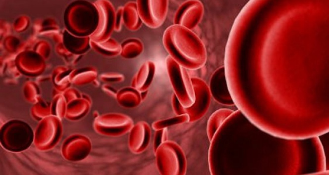 İç Hastalıkları ve Hematoloji Uzmanı Dr. Fatih Öçal, demir eksikliğinin
